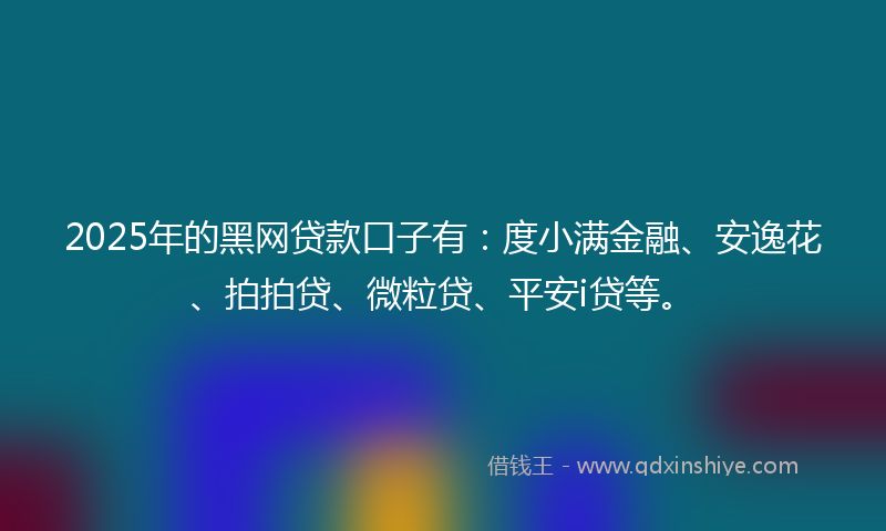 2025年的黑网贷款口子有：度小满金融、安逸花、拍拍贷、微粒贷、平安i贷等。