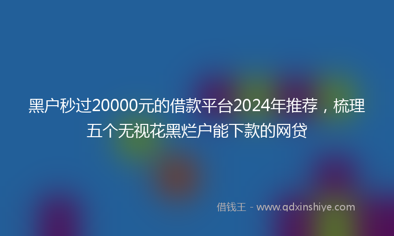 黑户秒过20000元的借款平台2024年推荐，梳理五个无视花黑烂户能下款的网贷