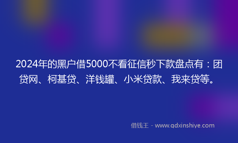 2024年的黑户借5000不看征信秒下款盘点有：团贷网、柯基贷、洋钱罐、小米贷款、我来贷等。