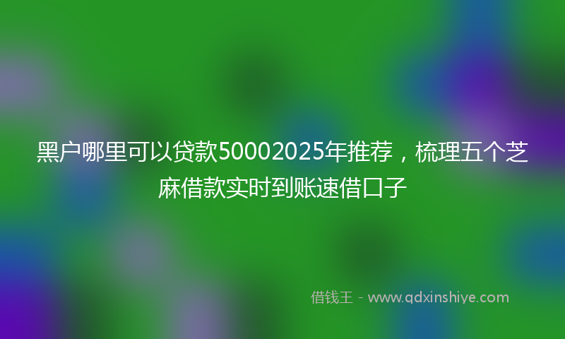 黑户哪里可以贷款50002025年推荐，梳理五个芝麻借款实时到账速借口子