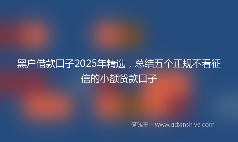 黑户借款口子2025年精选，总结五个正规不看征信的小额贷款口子