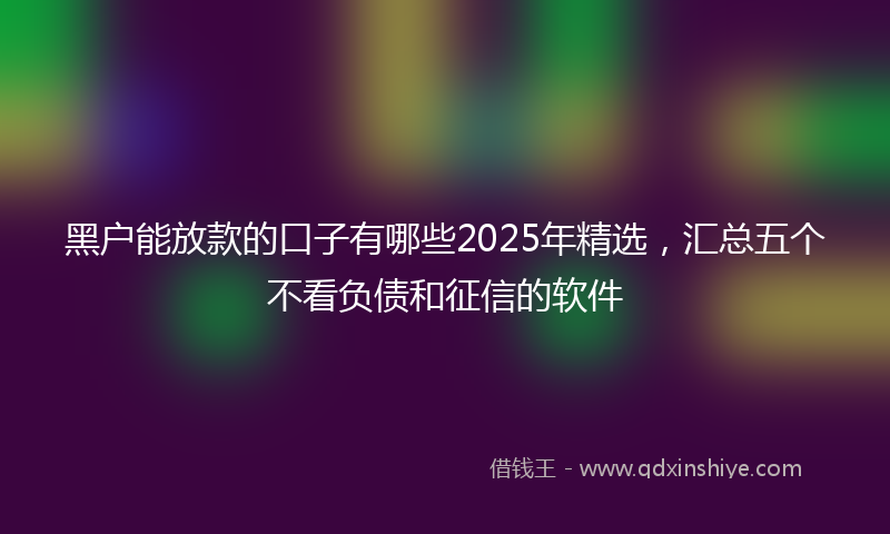 黑户能放款的口子有哪些2025年精选，汇总五个不看负债和征信的软件