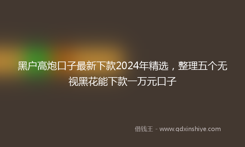 黑户高炮口子最新下款2024年精选，整理五个无视黑花能下款一万元口子