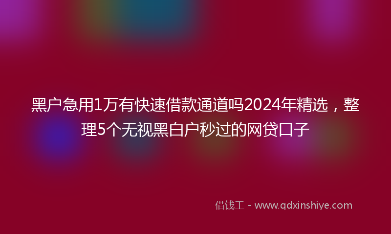 黑户急用1万有快速借款通道吗2024年精选，整理5个无视黑白户秒过的网贷口子