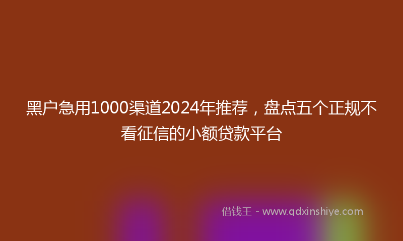 黑户急用1000渠道2024年推荐，盘点五个正规不看征信的小额贷款平台