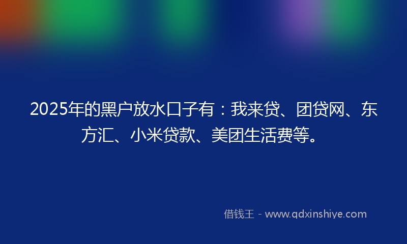 2025年的黑户放水口子有：我来贷、团贷网、东方汇、小米贷款、美团生活费等。