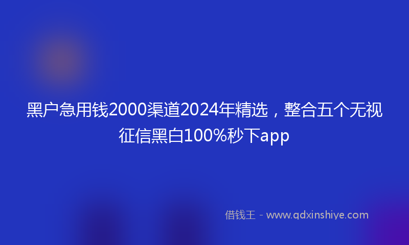 黑户急用钱2000渠道2024年精选，整合五个无视征信黑白100%秒下app