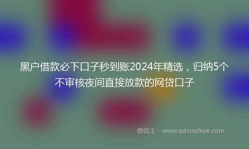 黑户借款必下口子秒到账2024年精选，归纳5个不审核夜间直接放款的网贷口子