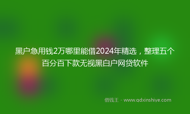 黑户急用钱2万哪里能借2024年精选，整理五个百分百下款无视黑白户网贷软件