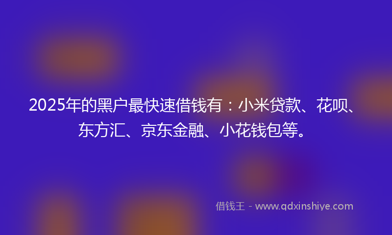 2025年的黑户最快速借钱有：小米贷款、花呗、东方汇、京东金融、小花钱包等。