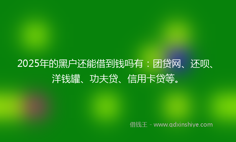 2025年的黑户还能借到钱吗有：团贷网、还呗、洋钱罐、功夫贷、信用卡贷等。