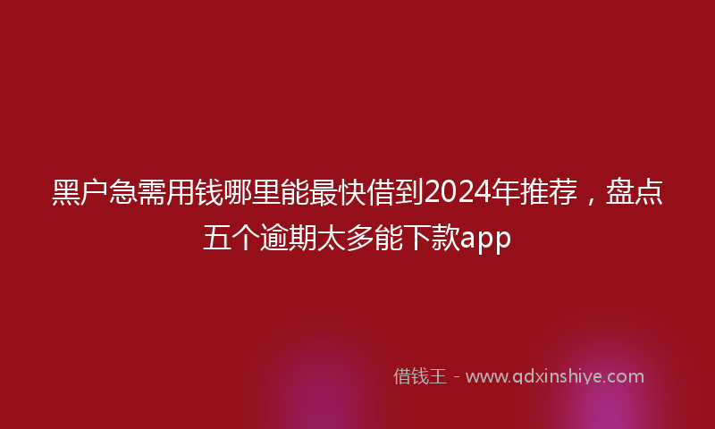 黑户急需用钱哪里能最快借到2024年推荐，盘点五个逾期太多能下款app