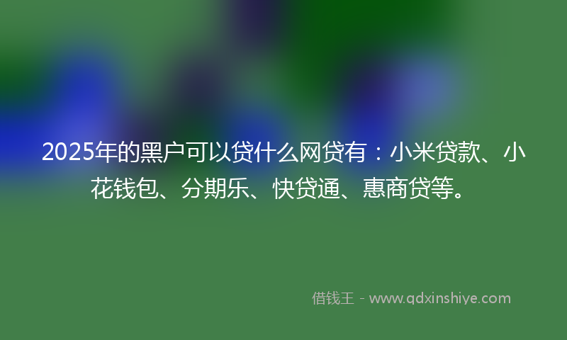 2025年的黑户可以贷什么网贷有：小米贷款、小花钱包、分期乐、快贷通、惠商贷等。