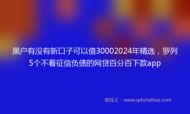 黑户有没有新口子可以借30002024年精选，罗列5个不看征信负债的网贷百分百下款app