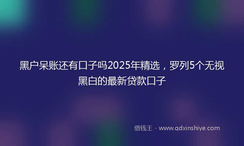 黑户呆账还有口子吗2025年精选，罗列5个无视黑白的最新贷款口子