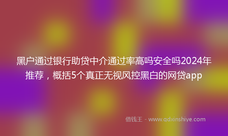 黑户通过银行助贷中介通过率高吗安全吗2024年推荐，概括5个真正无视风控黑白的网贷app