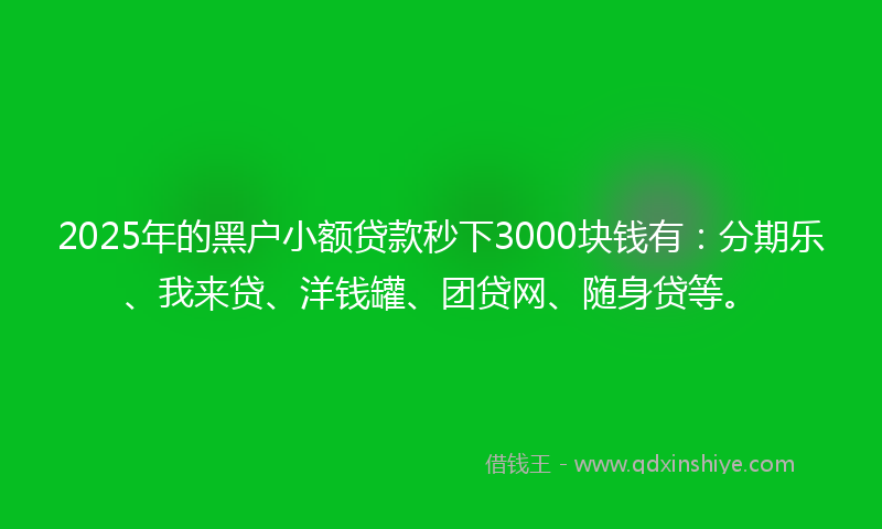 2025年的黑户小额贷款秒下3000块钱有：分期乐、我来贷、洋钱罐、团贷网、随身贷等。