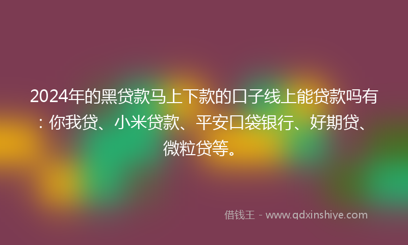 2024年的黑贷款马上下款的口子线上能贷款吗有：你我贷、小米贷款、平安口袋银行、好期贷、微粒贷等。