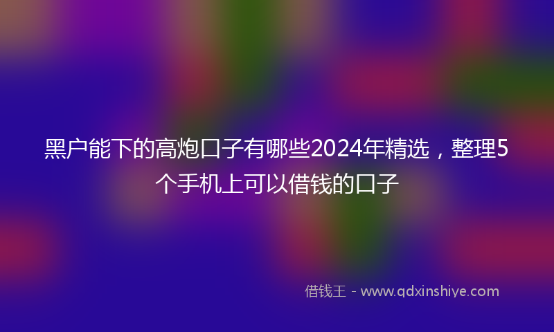 黑户能下的高炮口子有哪些2024年精选，整理5个手机上可以借钱的口子