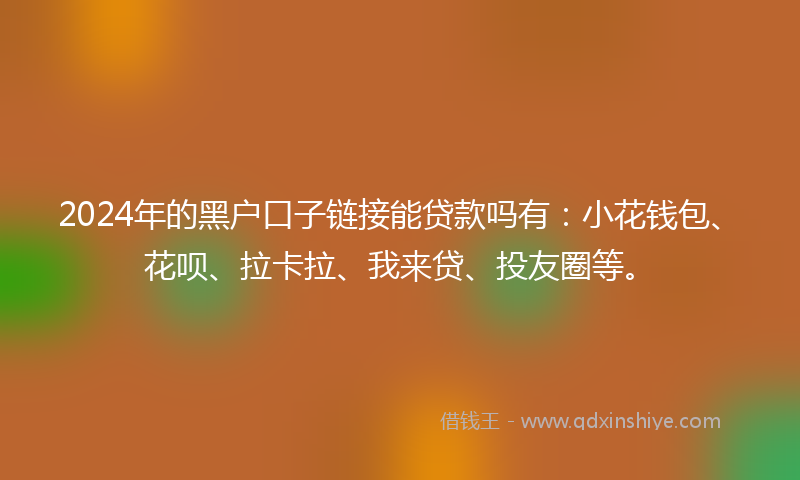 2024年的黑户口子链接能贷款吗有：小花钱包、花呗、拉卡拉、我来贷、投友圈等。