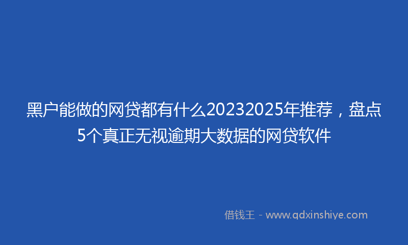 黑户能做的网贷都有什么20232025年推荐，盘点5个真正无视逾期大数据的网贷软件