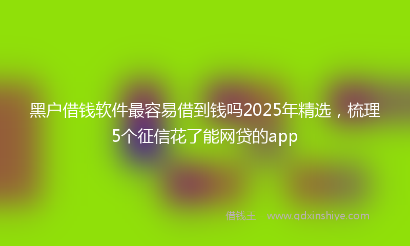 黑户借钱软件最容易借到钱吗2025年精选，梳理5个征信花了能网贷的app