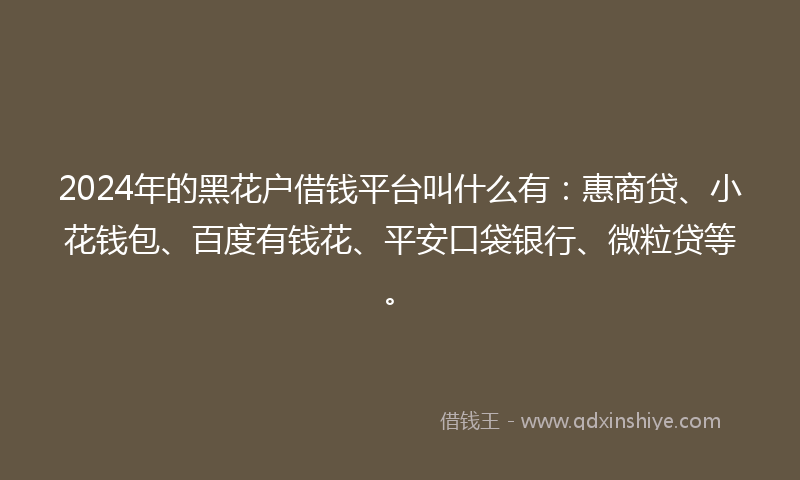 2024年的黑花户借钱平台叫什么有：惠商贷、小花钱包、百度有钱花、平安口袋银行、微粒贷等。