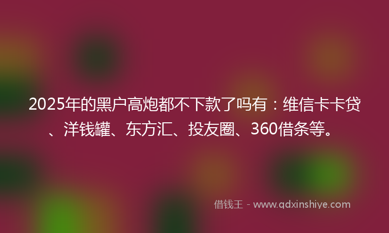 2025年的黑户高炮都不下款了吗有：维信卡卡贷、洋钱罐、东方汇、投友圈、360借条等。