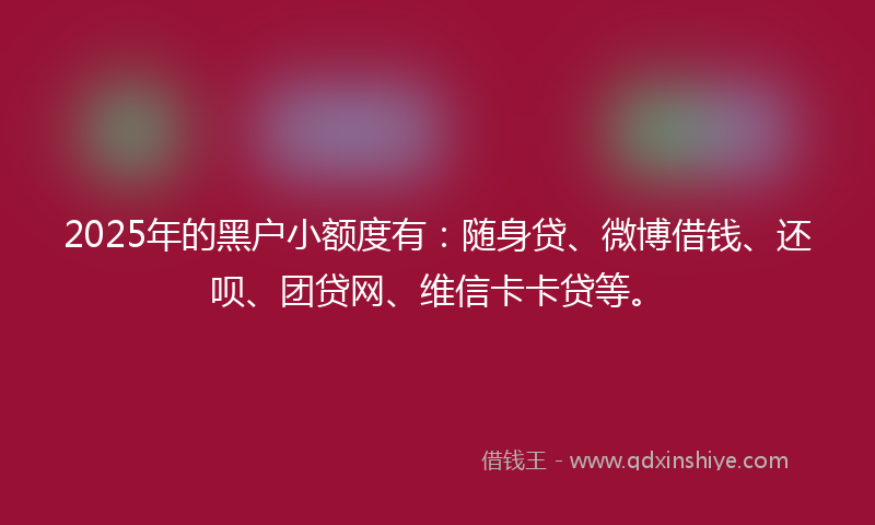 2025年的黑户小额度有：随身贷、微博借钱、还呗、团贷网、维信卡卡贷等。