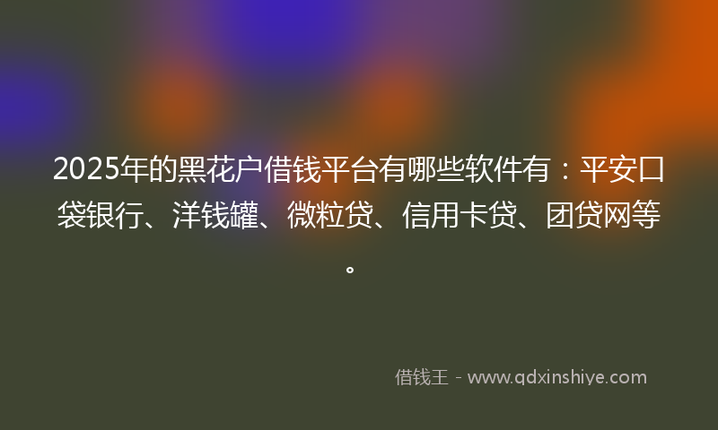 2025年的黑花户借钱平台有哪些软件有：平安口袋银行、洋钱罐、微粒贷、信用卡贷、团贷网等。