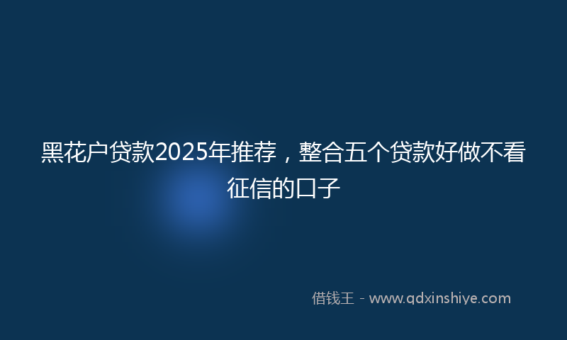 黑花户贷款2025年推荐，整合五个贷款好做不看征信的口子