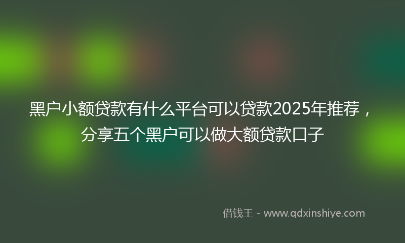 黑户小额贷款有什么平台可以贷款2025年推荐，分享五个黑户可以做大额贷款口子