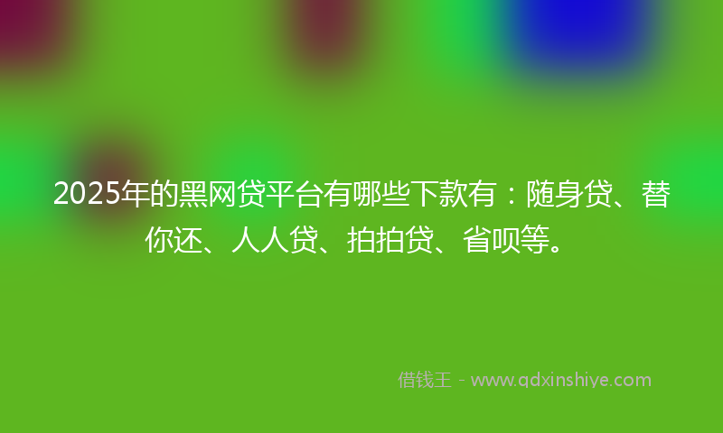 2025年的黑网贷平台有哪些下款有：随身贷、替你还、人人贷、拍拍贷、省呗等。