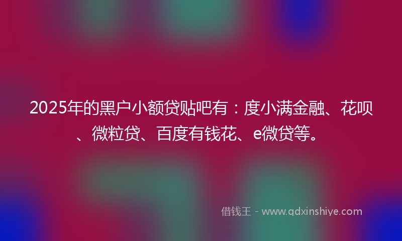 2025年的黑户小额贷贴吧有：度小满金融、花呗、微粒贷、百度有钱花、e微贷等。
