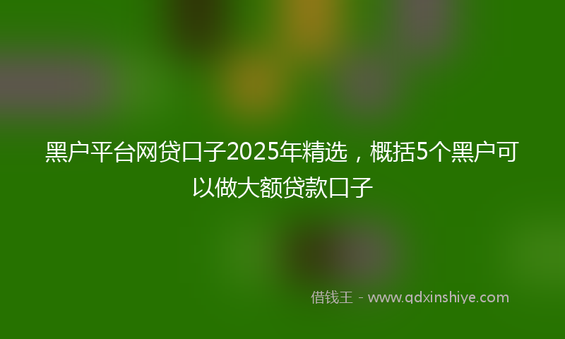黑户平台网贷口子2025年精选，概括5个黑户可以做大额贷款口子