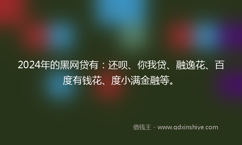 2024年的黑网贷有：还呗、你我贷、融逸花、百度有钱花、度小满金融等。