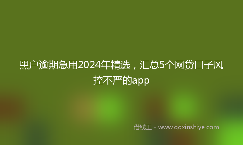 黑户逾期急用2024年精选，汇总5个网贷口子风控不严的app