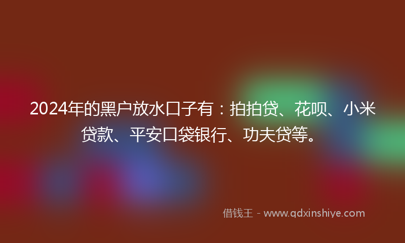 2024年的黑户放水口子有：拍拍贷、花呗、小米贷款、平安口袋银行、功夫贷等。