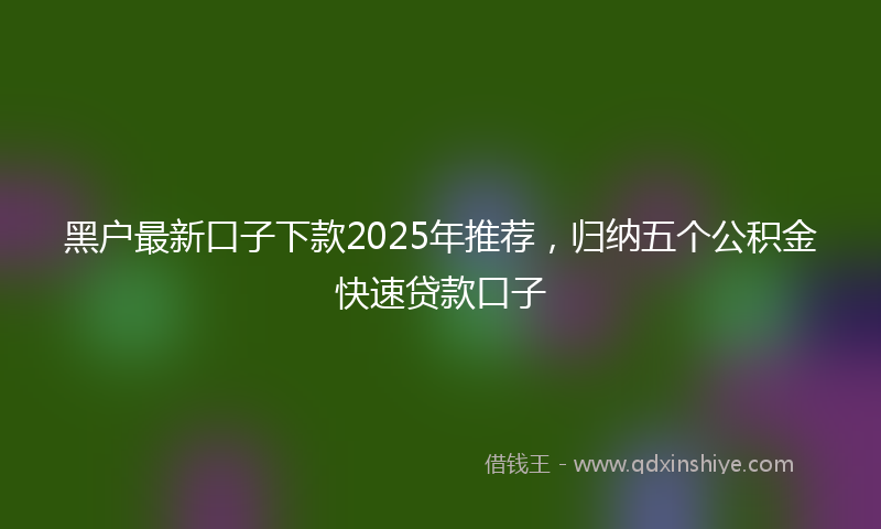 黑户最新口子下款2025年推荐，归纳五个公积金快速贷款口子