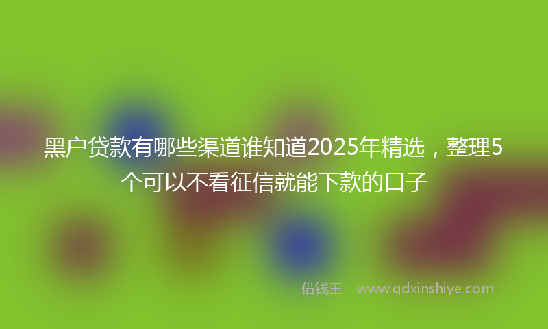黑户贷款有哪些渠道谁知道2025年精选，整理5个可以不看征信就能下款的口子