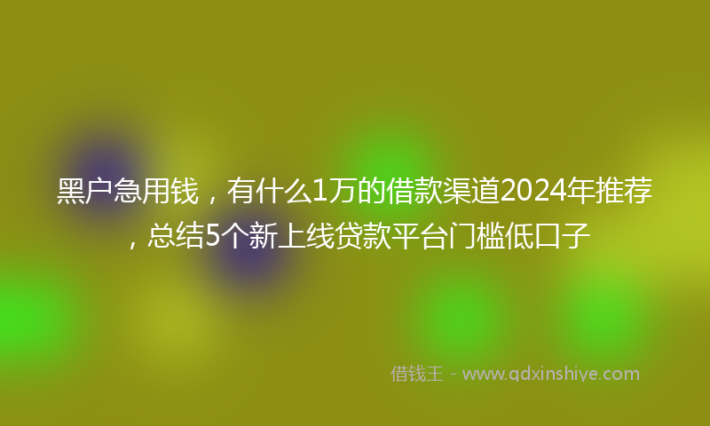 黑户急用钱，有什么1万的借款渠道2024年推荐，总结5个新上线贷款平台门槛低口子