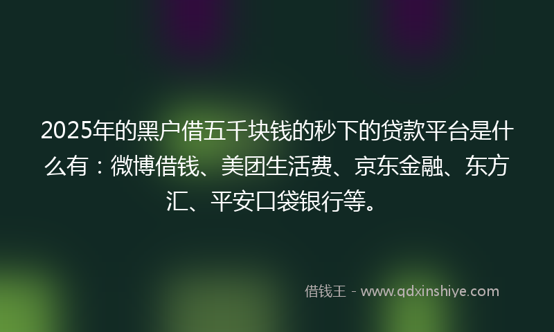 2025年的黑户借五千块钱的秒下的贷款平台是什么有：微博借钱、美团生活费、京东金融、东方汇、平安口袋银行等。