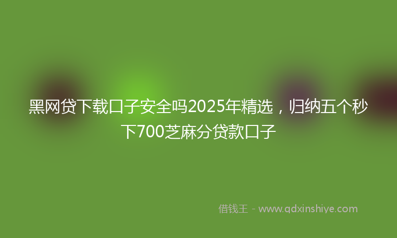 黑网贷下载口子安全吗2025年精选，归纳五个秒下700芝麻分贷款口子