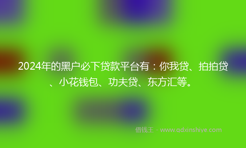 2024年的黑户必下贷款平台有：你我贷、拍拍贷、小花钱包、功夫贷、东方汇等。