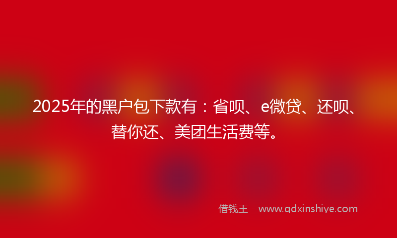 2025年的黑户包下款有：省呗、e微贷、还呗、替你还、美团生活费等。