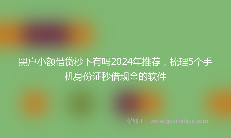 黑户小额借贷秒下有吗2024年推荐，梳理5个手机身份证秒借现金的软件
