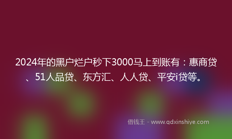 2024年的黑户烂户秒下3000马上到账有：惠商贷、51人品贷、东方汇、人人贷、平安i贷等。