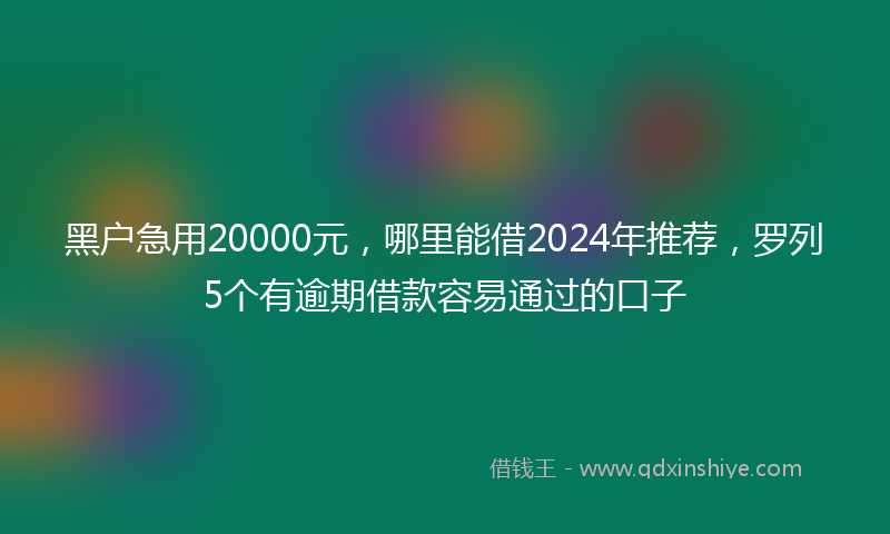 黑户急用20000元，哪里能借2024年推荐，罗列5个有逾期借款容易通过的口子