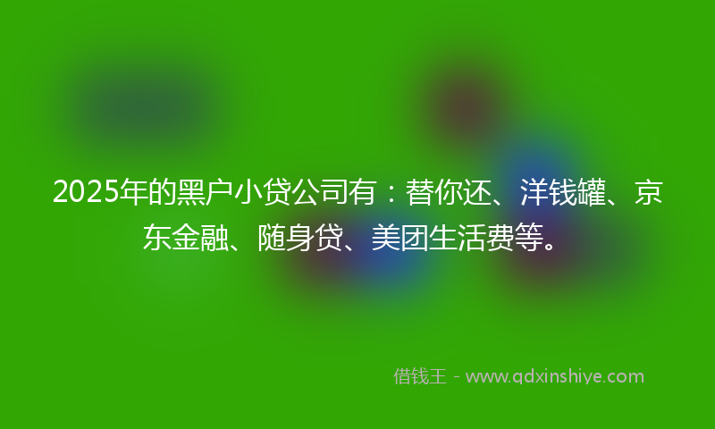 2025年的黑户小贷公司有：替你还、洋钱罐、京东金融、随身贷、美团生活费等。