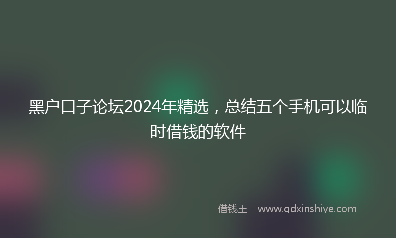 黑户口子论坛2024年精选，总结五个手机可以临时借钱的软件